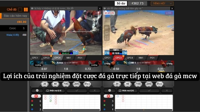 Cá Cược Đá Gà Trực Tiếp - Bí Quyết Chiến Thắng Tại Web Đá Gà MCW