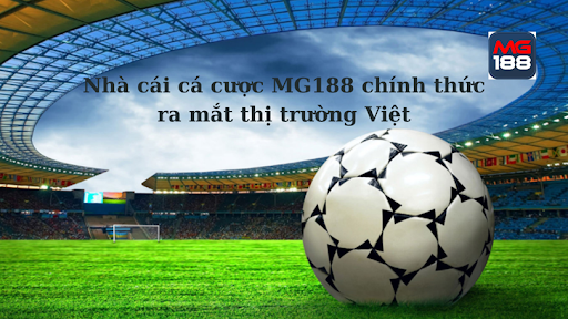 Tìm hiểu về nhà cái Mg188 và những điều cần biết trước khi tham gia